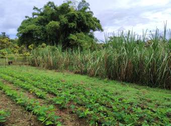 Quinta en Pueblo Nuevo de Agua Buena, Coto Brus, Puntarenas