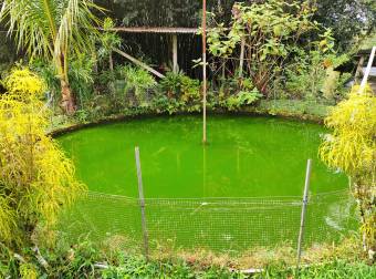 Quinta en Pueblo Nuevo de Agua Buena, Coto Brus, Puntarenas