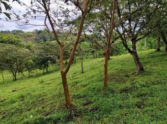 Quinta en Pueblo Nuevo de Agua Buena, Coto Brus, Puntarenas