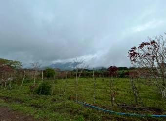 VENTA DE AMPLIO LOTE BIRRISITO, CARTAGO