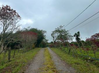 VENTA DE AMPLIO LOTE BIRRISITO, CARTAGO