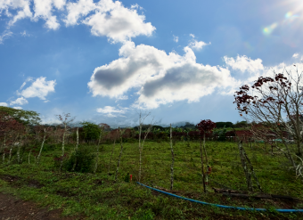 VENTA DE AMPLIO LOTE BIRRISITO, CARTAGO