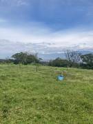 VENTA terreno en BUENA VISTA, Barva, Heredia.     