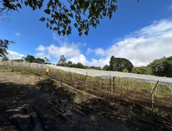 Terreno en San Isidro de Heredia, cerca de ruta 32 18,406 mtrs2