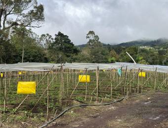 Terreno en San Isidro de Heredia, cerca de ruta 32 18,406 mtrs2