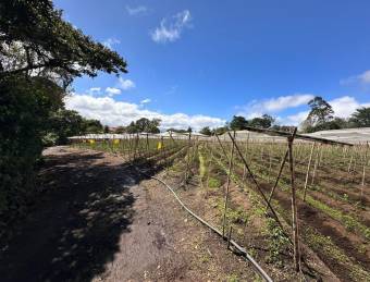 Terreno en San Isidro de Heredia, cerca de ruta 32 18,406 mtrs2