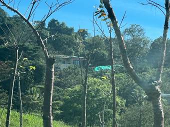 Terreno Grande con Casa - Se Vende - San Mateo La Libertad