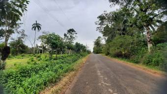 HERMOSA FINCA EN KATIRA,GUATUSO,ALAJUELA