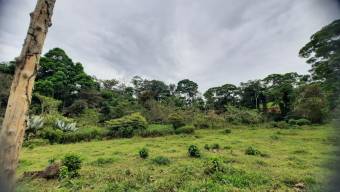 HERMOSA FINCA EN KATIRA,GUATUSO,ALAJUELA