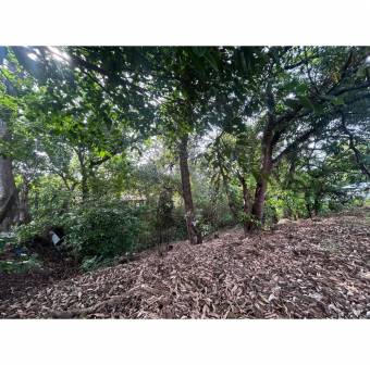 VENTA DE LOTE COMERCIAL, GUANACASTE, NICOYA CENTRO 