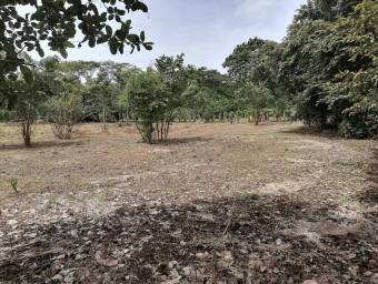 MLS-25-1061 VENTA LOTE CARRILLO GUANACASTE 