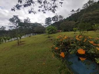 MLS-25-1070 VENTA LOTE JABILLOS TURRIALBA