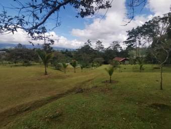 MLS-25-1070 VENTA LOTE JABILLOS TURRIALBA