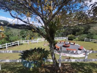 MLS-25-1070 VENTA LOTE JABILLOS TURRIALBA