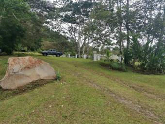 MLS-25-1070 VENTA LOTE JABILLOS TURRIALBA