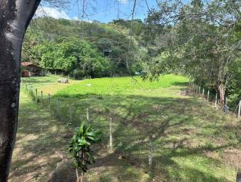 Venta de Quinta en Atenas-Concepción, Alajuela. RAH 25-1225