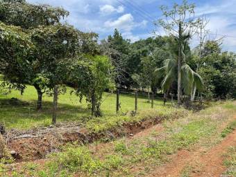 MLS-23-465 VENTA LOTE OROTINA ALAJUELA