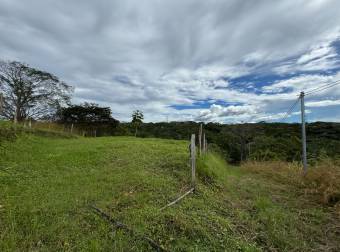 Venta de Lote en Espíritu Santo de Esparza, Puntarenas. 