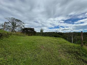 Venta de Lote en Espíritu Santo de Esparza, Puntarenas. 