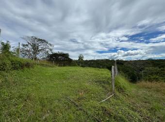 Venta de Lote en Espíritu Santo de Esparza, Puntarenas. 