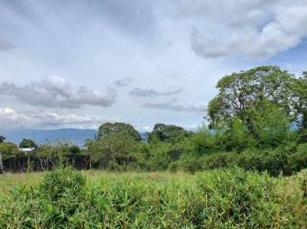 Se vende lote de 4,284m2 en San Antonio Escazú 25-146