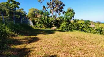 VENTA DE LOTES, PUNTARENAS, OSA, BAHIA BALLENA, DULCE PACIFICO   