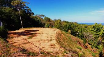 VENTA DE LOTES, PUNTARENAS, OSA, BAHIA BALLENA, DULCE PACIFICO   