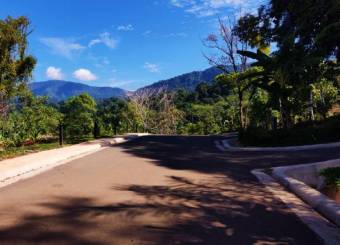 VENTA DE LOTES, PUNTARENAS, OSA, BAHIA BALLENA, DULCE PACIFICO   