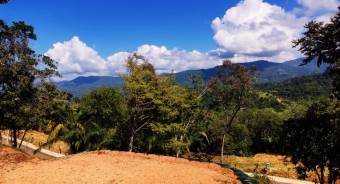 VENTA DE LOTES, PUNTARENAS, OSA, BAHIA BALLENA, DULCE PACIFICO   