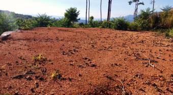 VENTA DE LOTES, PUNTARENAS, OSA, BAHIA BALLENA, DULCE PACIFICO   