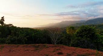 VENTA DE LOTES, PUNTARENAS, OSA, BAHIA BALLENA, DULCE PACIFICO   