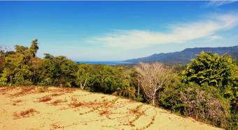 VENTA DE LOTES, PUNTARENAS, OSA, BAHIA BALLENA, DULCE PACIFICO   