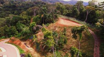 VENTA DE LOTES, PUNTARENAS, OSA, BAHIA BALLENA, DULCE PACIFICO   