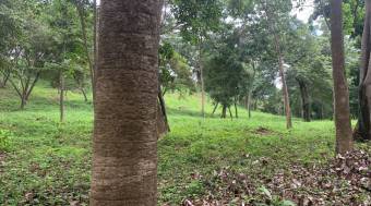 3 Lotes con una hermosa naturaleza 