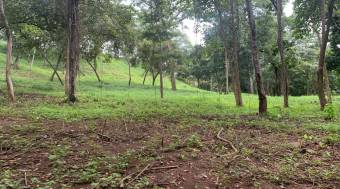 3 Lotes con una hermosa naturaleza 