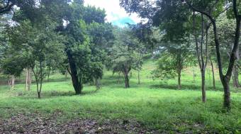 3 Lots with beautiful nature