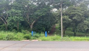 3 Lotes con una hermosa naturaleza 