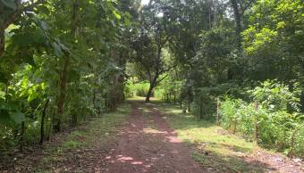 3 Lotes con una hermosa naturaleza 