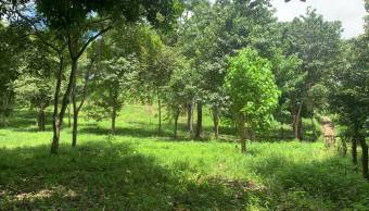 3 Lotes con una hermosa naturaleza 