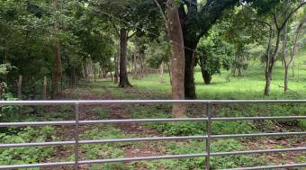 3 Lotes con una hermosa naturaleza 