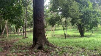 3 Lotes con una hermosa naturaleza 