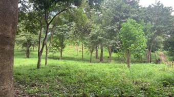 3 Lotes con una hermosa naturaleza 