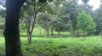 3 Lotes con una hermosa naturaleza 