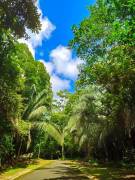 VENTA DE TERRENO EN COSTA ESTERILLOS ESTATES