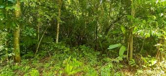 VENTA DE TERRENO EN COSTA ESTERILLOS ESTATES