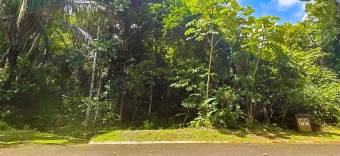 VENTA DE TERRENO EN COSTA ESTERILLOS ESTATES