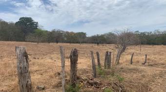 Lotes para segregar en Matapalo cerca de Playa Grande Lotes para segregar en Matapalo cerca de Playa Grande