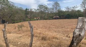 Lotes para segregar en Matapalo cerca de Playa Grande Lotes para segregar en Matapalo cerca de Playa Grande