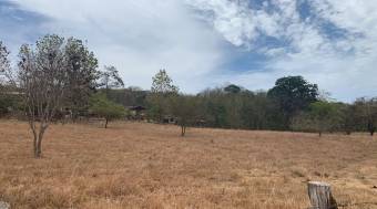 Lotes para segregar en Matapalo cerca de Playa Grande Lotes para segregar en Matapalo cerca de Playa Grande