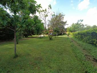 MLS-25-1019 VENTA QUINTA SAN MATEO SAN JOSE